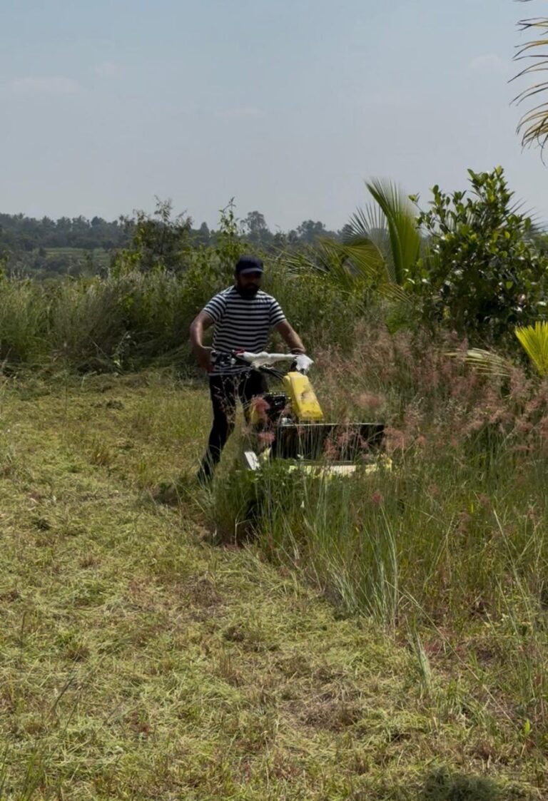 Controlling weed in the orchard