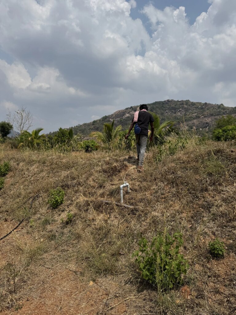 Man walking on grassy, uneven terrain towards a mountain in the distance, with scattered bushes and an exposed pipeline, under partly cloudy sky.