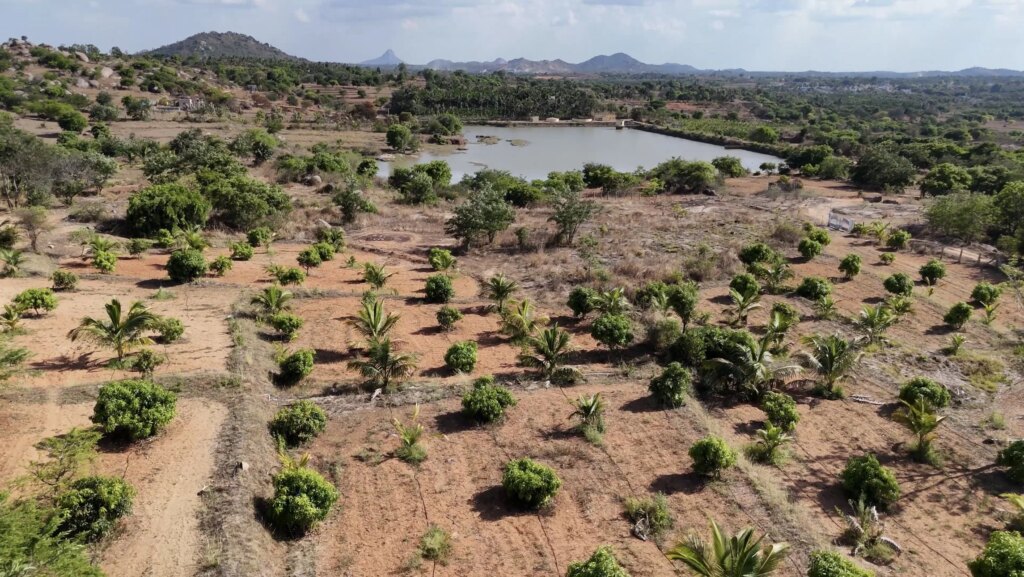 A landscape with a small pond, tropical trees, and shrubbery on dry, reddish-brown land with hills and mountains in the background.