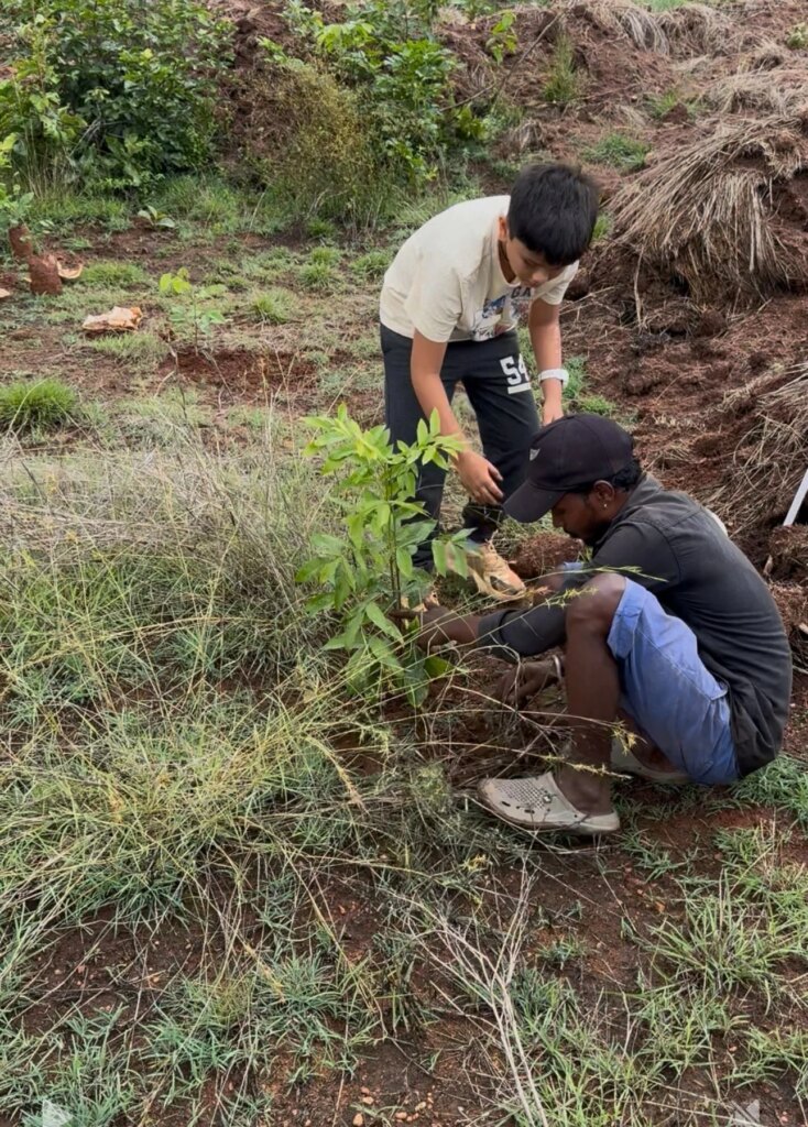Two young men planting a small tree in the ground outdoors, surrounded by grass and bushes.