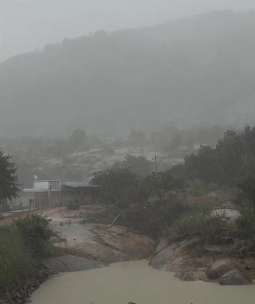 Rainy weather with a mountain in the background, trees, and a small river or stream in the foreground.